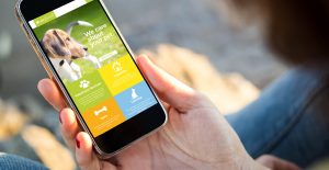 pet sitting apps