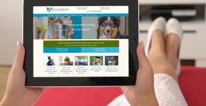 Meadowlake Pet Resort Kinn Kleanbowl Interview