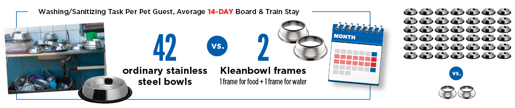B and D comparision